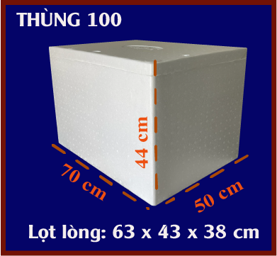 Thùng xốp 100 - Kích thước chuẩn, giá tốt nhất | Tiến Phong
