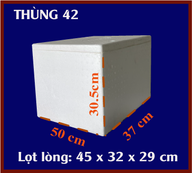 Thùng xốp 42 chuẩn EPS | Báo giá mới nhất tại Tiến Phong