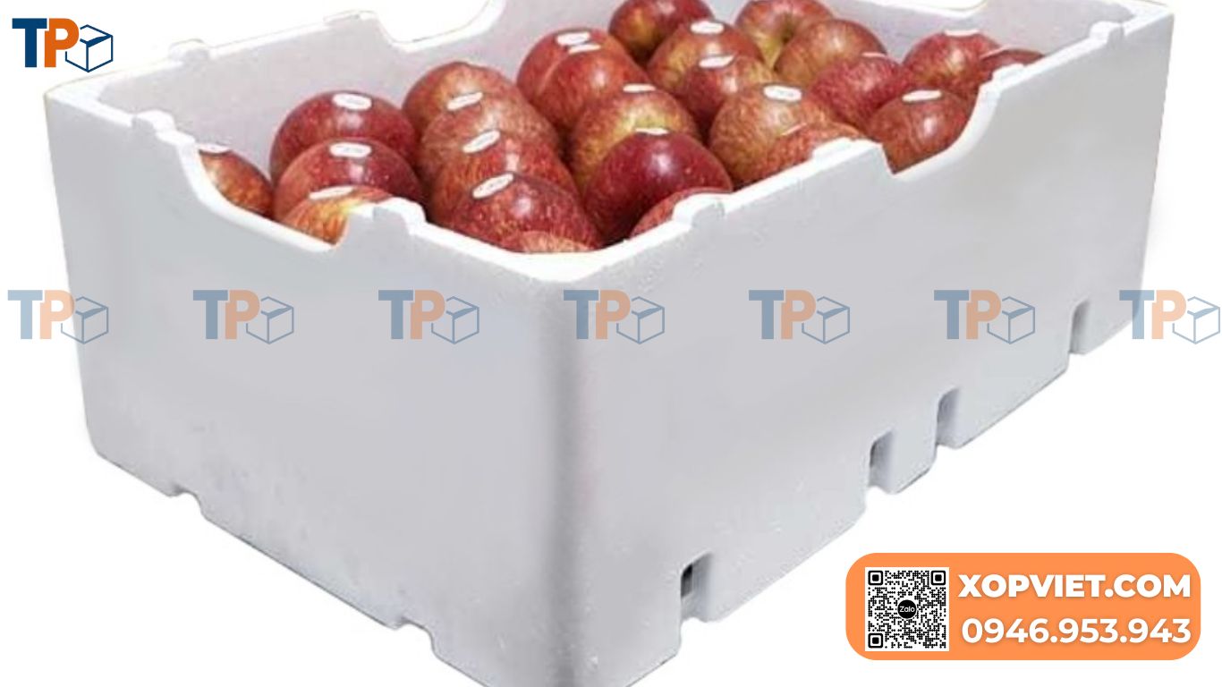 Mua thùng xốp đựng hoa quả chuyên dụng tại Tiến Phong. Sản phẩm đạt chuẩn, giữ tươi lâu, chống va đập, giá gốc. Liên hệ 0973426005