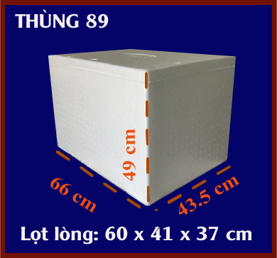 Thùng xốp 89 | Cách nhiệt, giữ lạnh hiệu quả - Tiến Phong