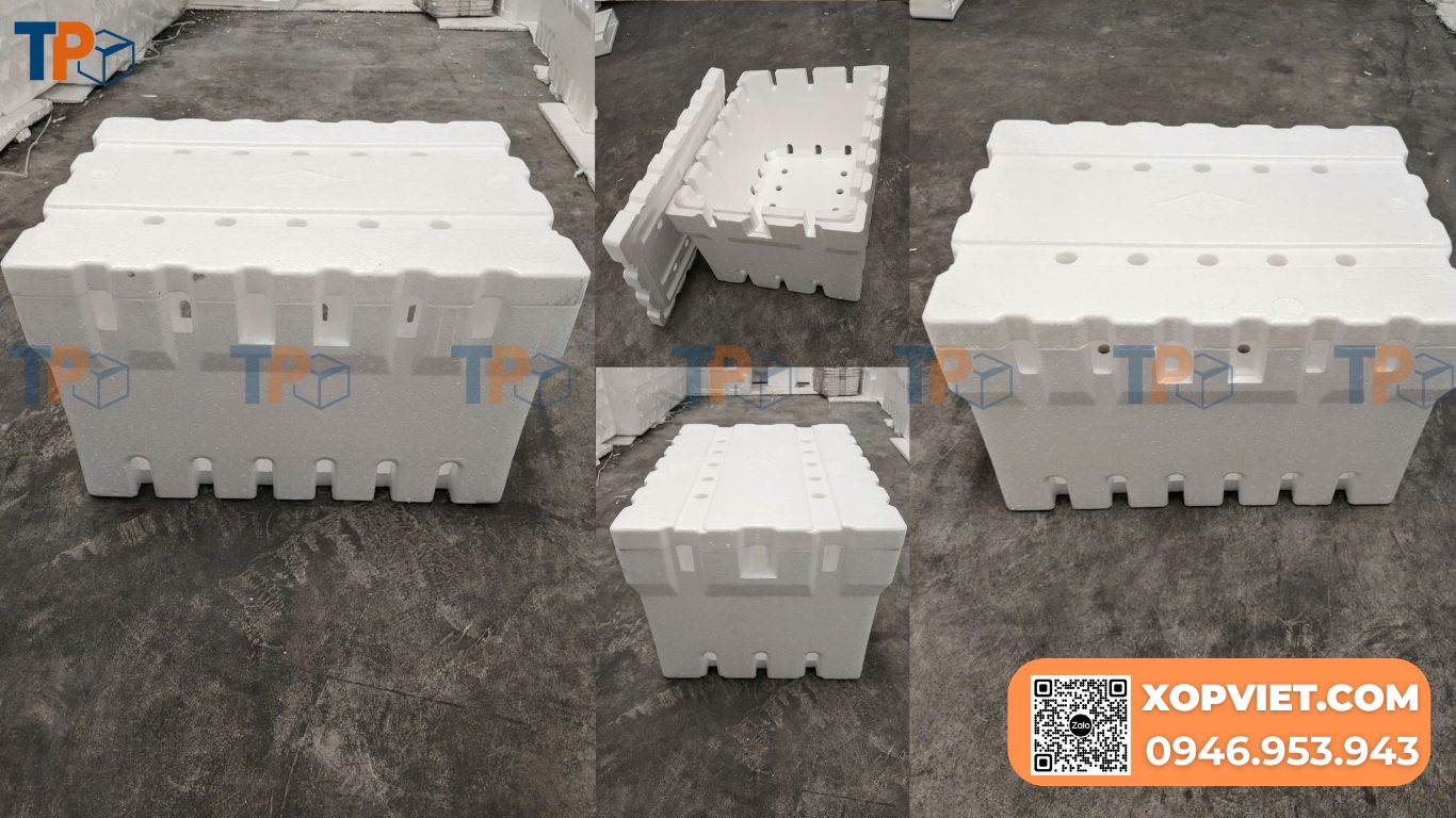 Thùng xốp đựng hoa quả chất lượng cao, giá tốt | Tiến Phong